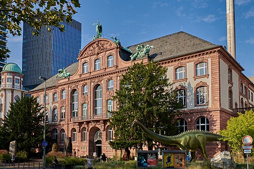 Senckenberg Museum of Natural History